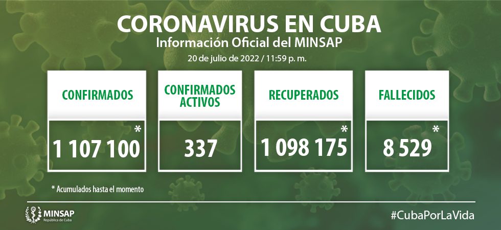Grafico 11