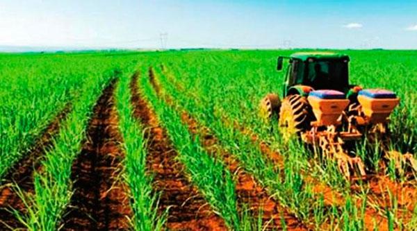 colecivos agric