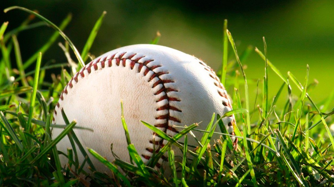 pelota de béisbol3