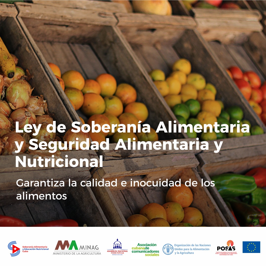 seguridad alimentaria 1