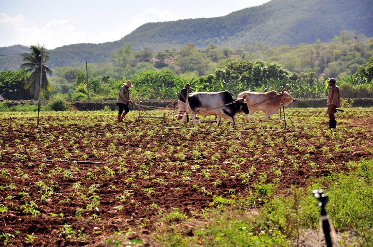 alimentos valle2