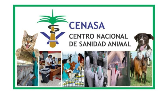 cenasa sanida animal centro 1