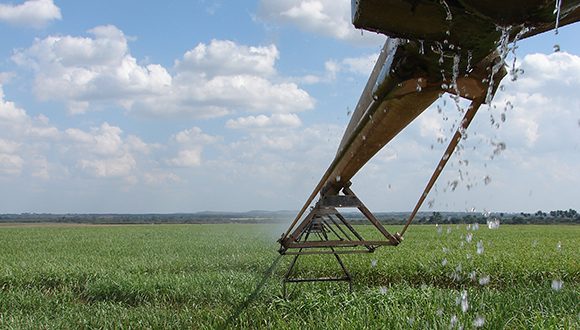 azcuba caña azucar 580x330