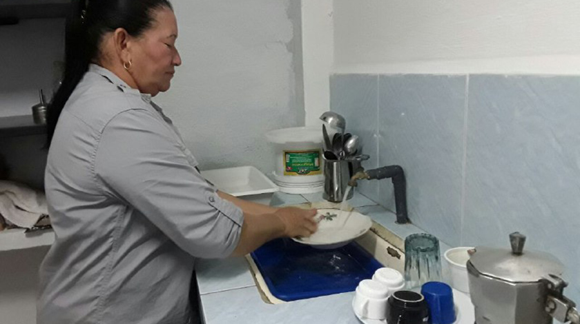 0 06 ama de casa 1