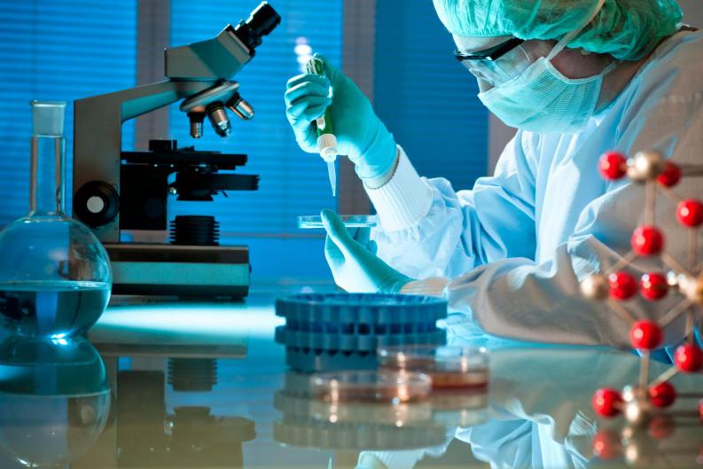 1Que son las ciencias experimentales 1