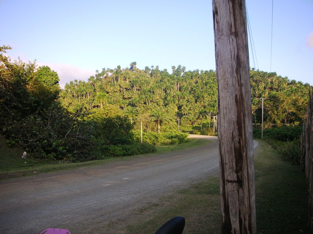 1carretera Moa Baracoa