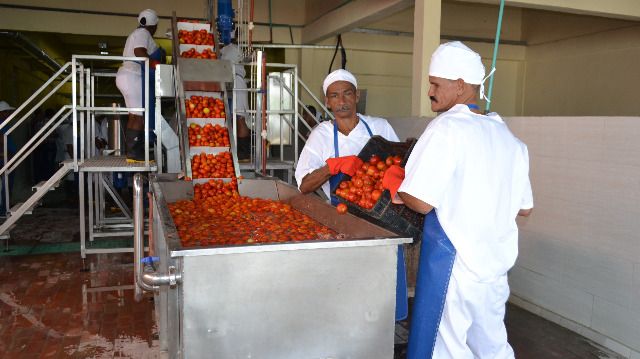 1fábrica de cucurucho Baracoa