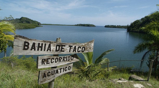 bahia taco