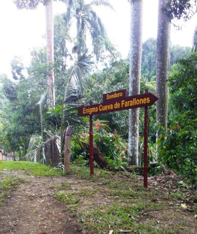 baracoa recibimiento tunart2