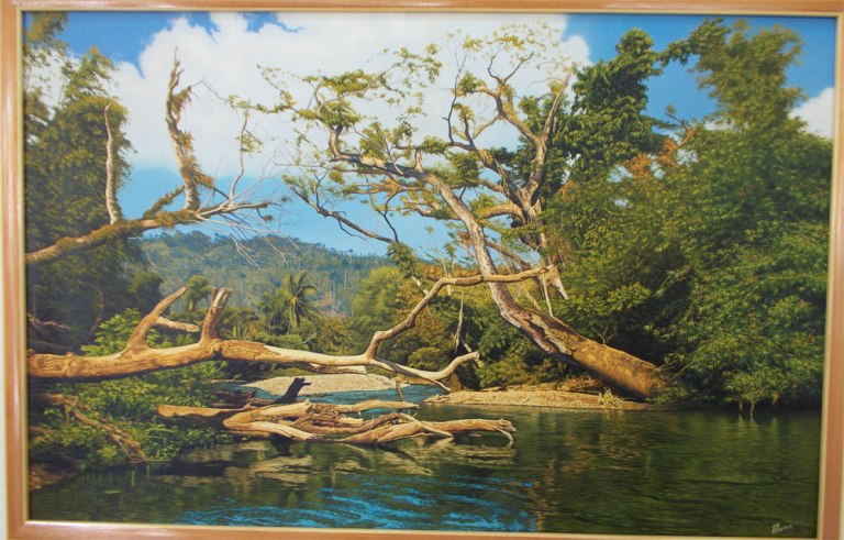 baracoa salon arte