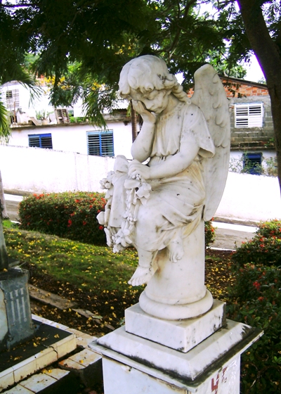 cementerio El paraiso 5