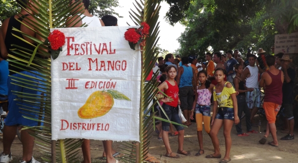 festivalmango