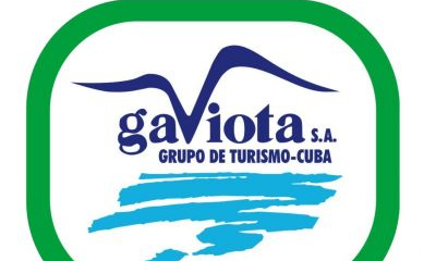 gaviota logo 3024288