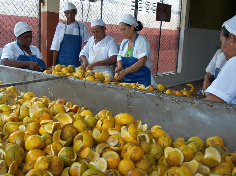 produccion conservas baracoa