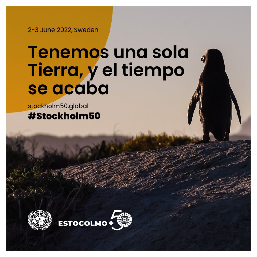 0602 estocolmo50