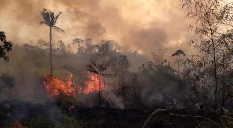 brasil incendio