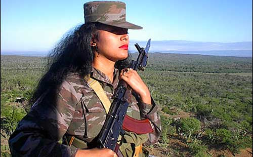 Brigada de la frontera gtmo