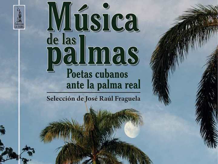 Copia Música de las palmas