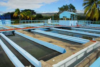 Potabilizadora