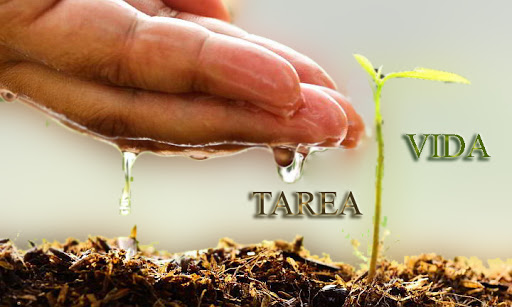 Tarea Vida 2