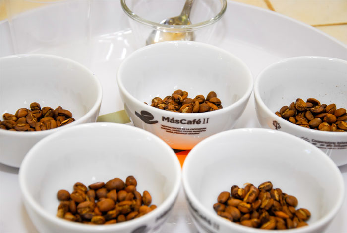 cafe de guantanamo 4