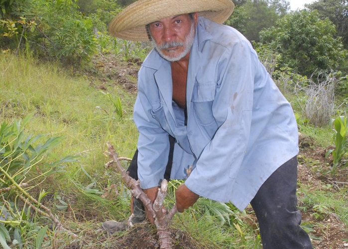 Ramiro