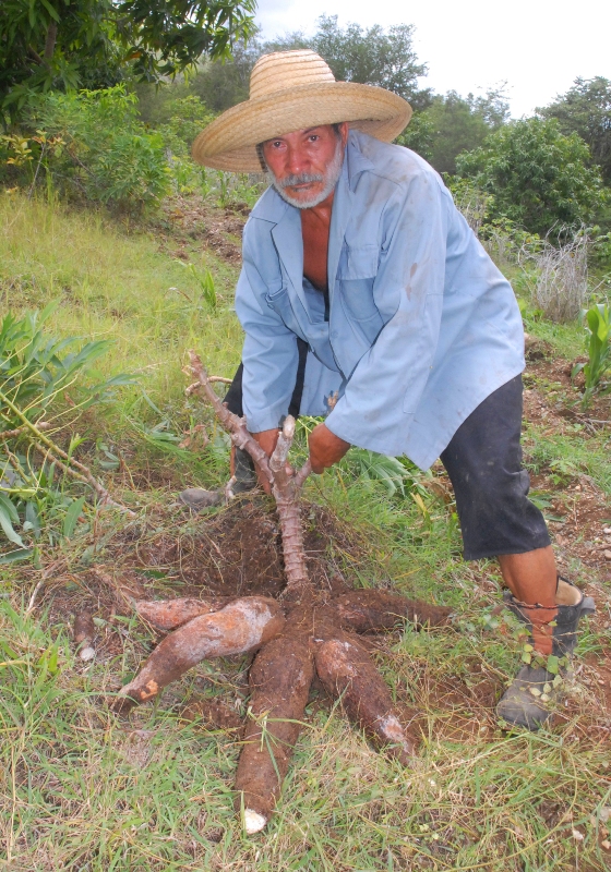 Ramiro3