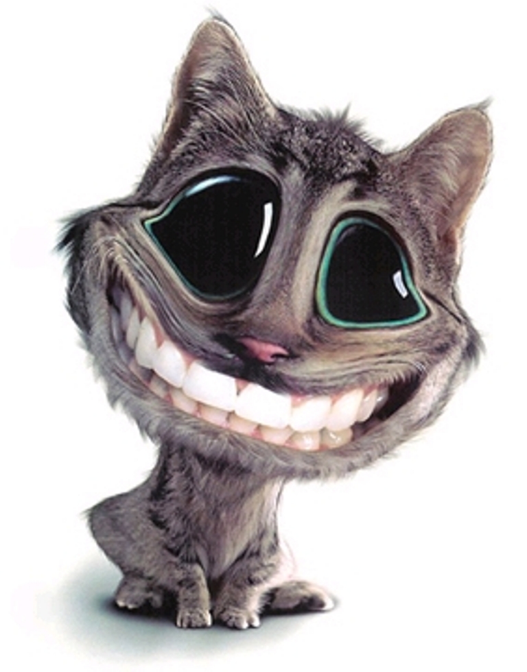 gatito