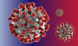 coronavirus banner 580px 580x150.png12