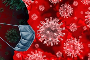 coronavirus 23