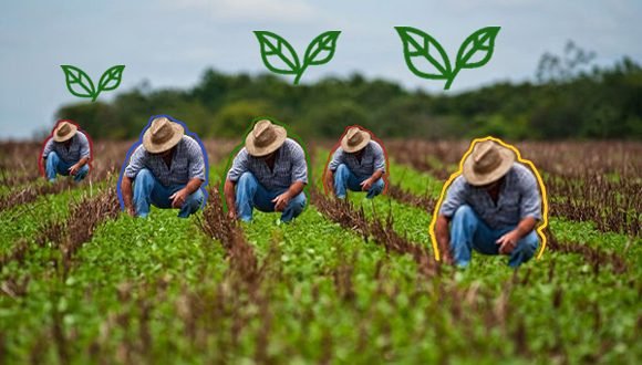 cuba agricultura 580x330