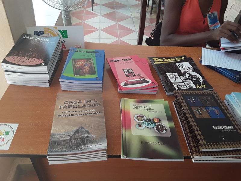 1noveades lietarias
