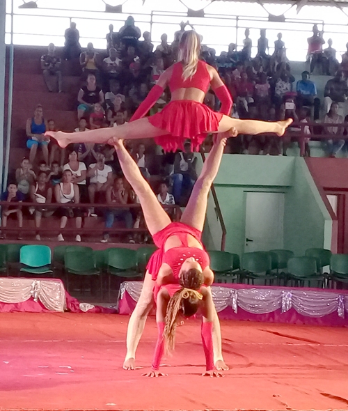 Circo