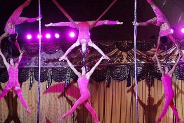 circuba1