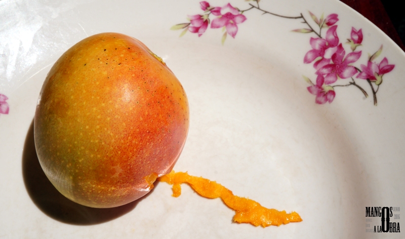 00 Cuba salió de un mango