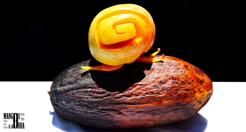 mango de la estrella 2