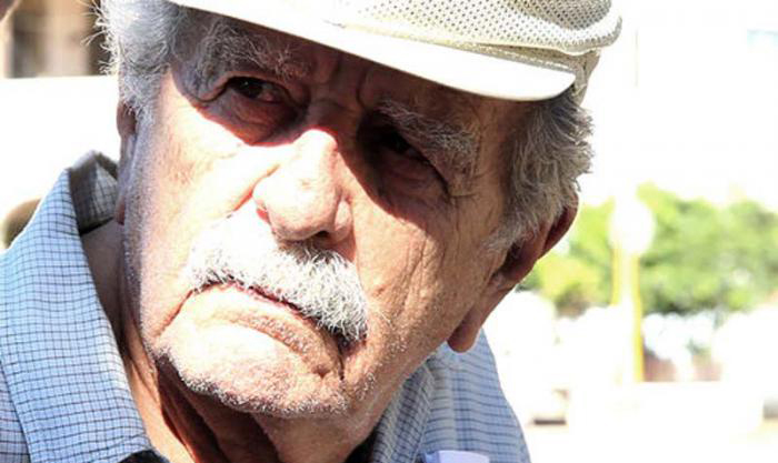 raul pomares actor