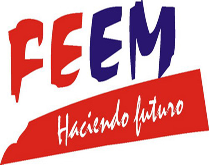 logo feem
