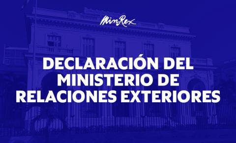 declaracion pagina minrex
