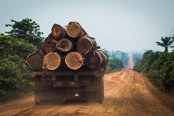 deforestacion amazonia 580x387