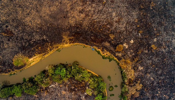 deforestacion amazonia mato grosso jul22