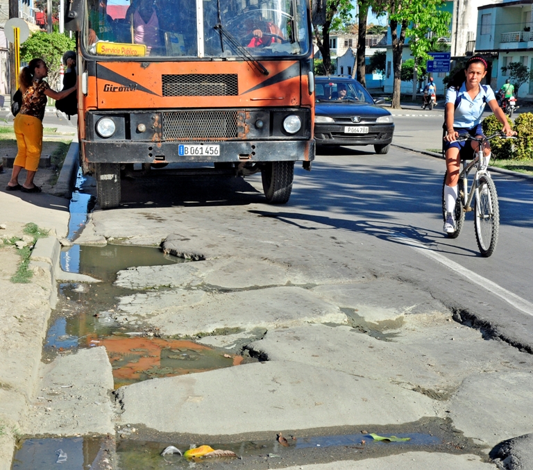 bache guaguas