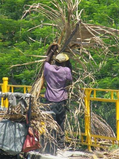 basura margenes rio