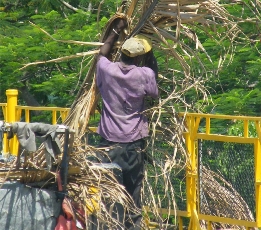 basura margenes rio port