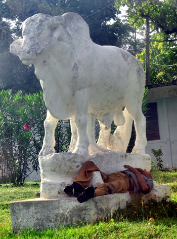 durmiendo estatua toro