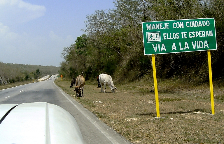 paradoja vial
