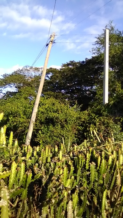 poste maca 1