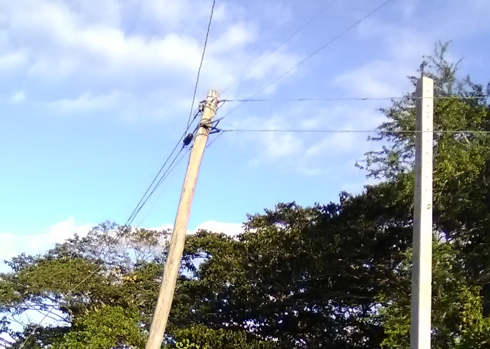 poste maca 1 portada