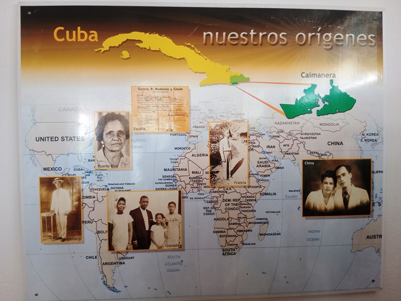 DENTRO DEL TEXTO MULTIMEDIA FAMILIAS PREDOMINANTES