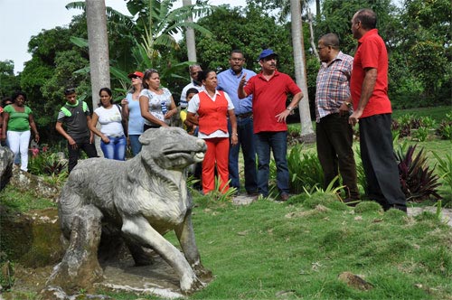 fernando zoo piedra 3024288